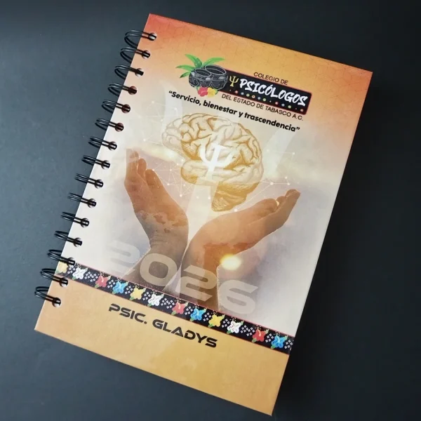 Agendas institucionales